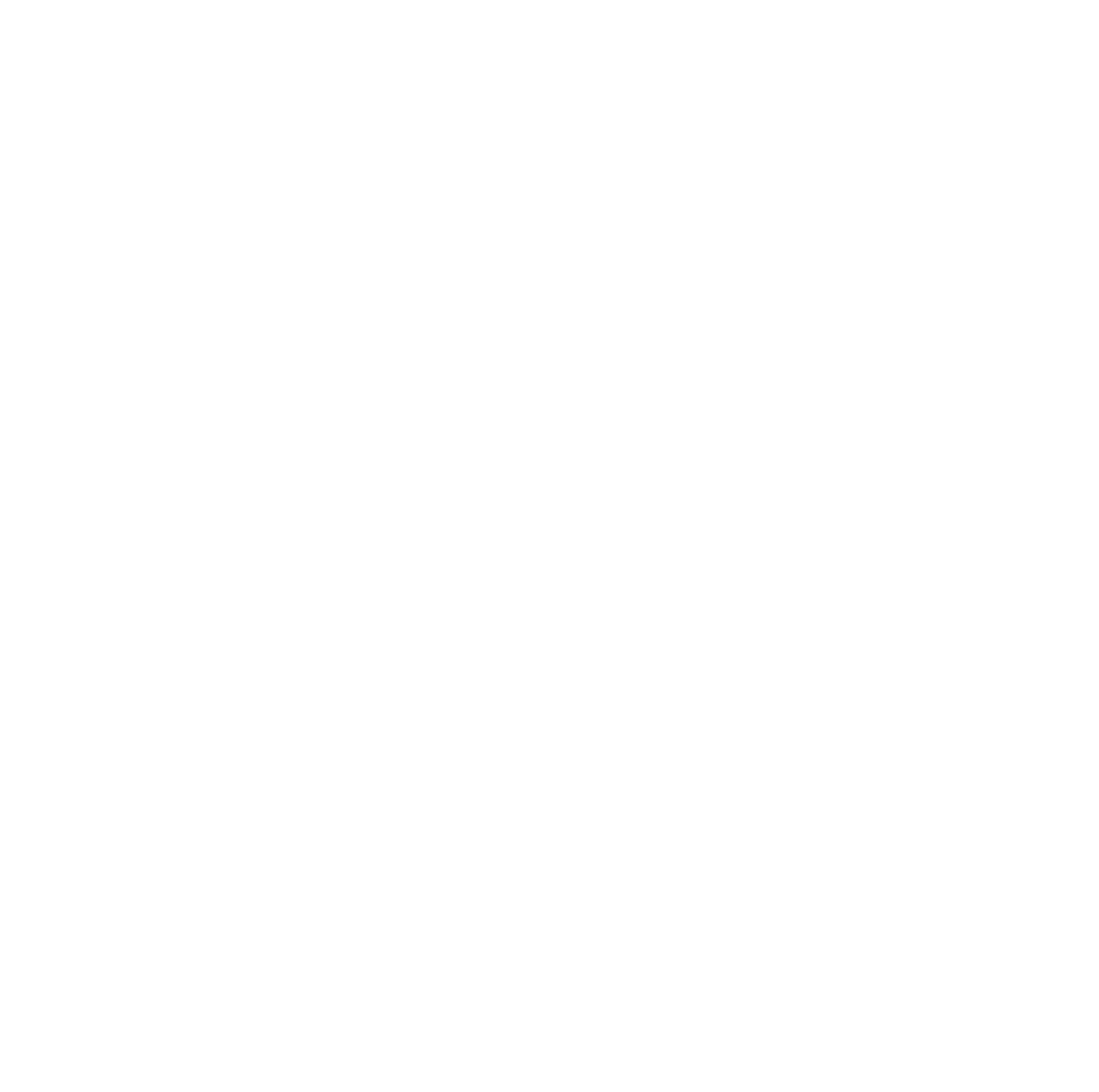 Second Slice Logo
